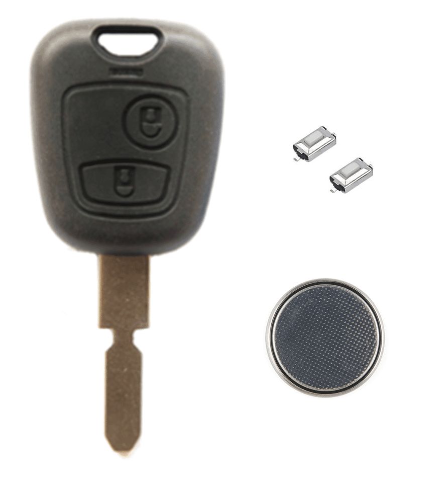 Recondition A Vehicle Battery Diy – Fact Battery ...